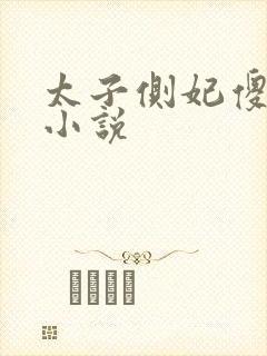 太子侧妃傻乎乎小说封面