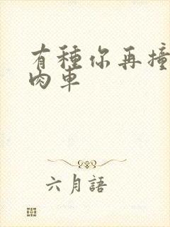 有种你再撞一下肉车