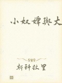 小奴婢与大少爷