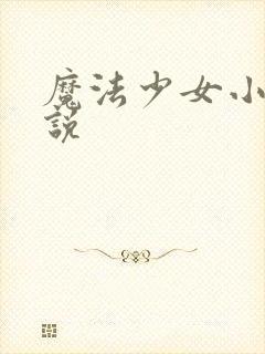 魔法少女小圆小说