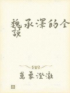 魏承泽的全部小说