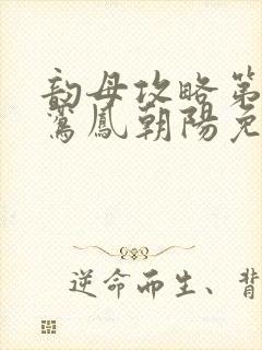 韵母攻略第二部鸾凤朝阳免费阅读