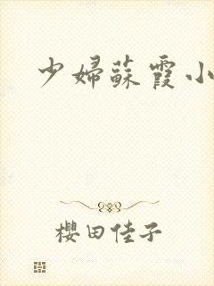 少妇苏霞小说