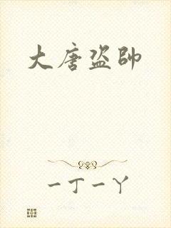 大唐盗帅