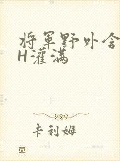 将军野外含公主H灌满