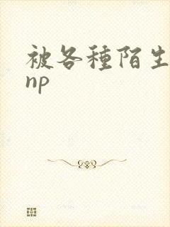 被各种陌生人 np