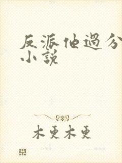 反派他过分美丽小说封面