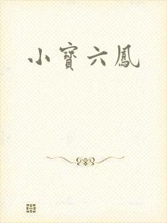 小宝六凤