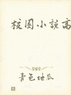 校园小说高h