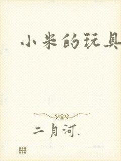 小米的玩具日记