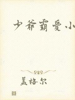 少爷霸爱小丫头封面