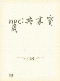 npc:共享宝贝