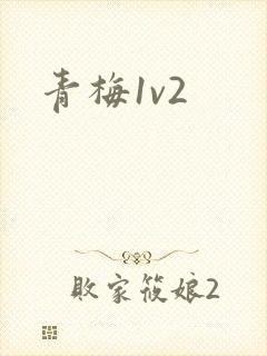 青梅1v2