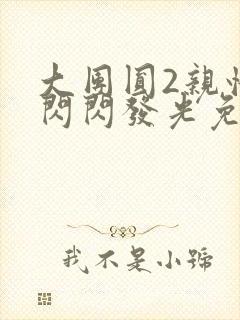 大团圆2亲情会闪闪发光免费