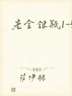 老金银瓶1-5