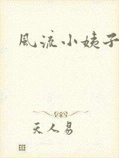 风流小姨子封面