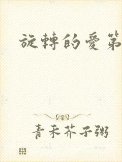 旋转的爱第三部