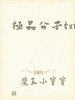 极品公子txt