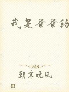 我是爸爸的玩具