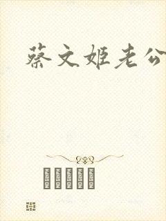 蔡文姬老公封面