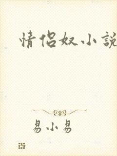 情侣奴小说封面