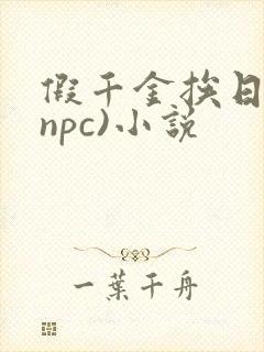 假千金挨日记(npc)小说