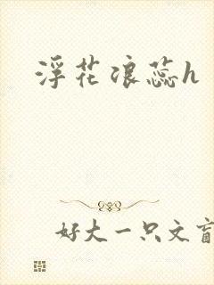 浮花浪蕊h