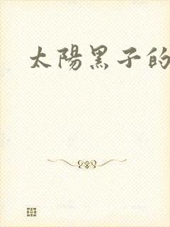 太阳黑子的小说