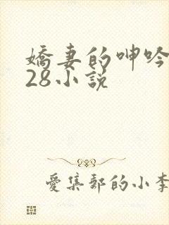 娇妻的呻吟1—28小说封面
