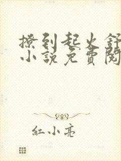 撩到起火舒漾的小说免费阅读全文