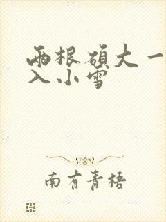 两根硕大一起挤入小雪