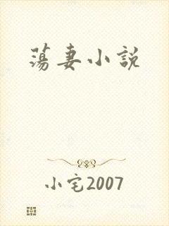 荡妻小说封面