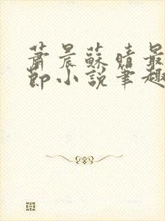 萧晨苏晴最新章节小说笔趣阁