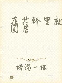 在花轿里就开始圆房