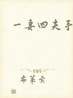 一妻四夫手记