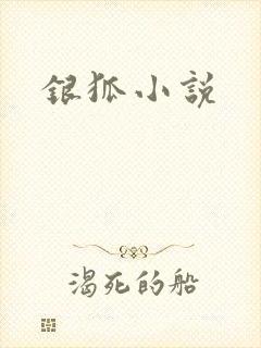 银狐小说