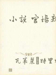 小说 官场新贵