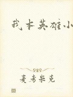 我本英雄小说