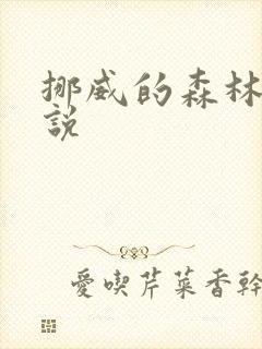 挪威的森林 小说