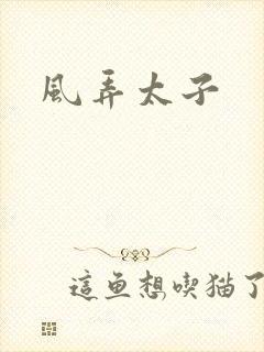 风弄太子封面