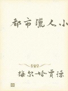 都市猎人小说