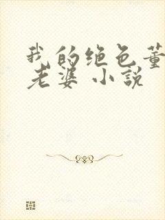 我的绝色董事长老婆 小说