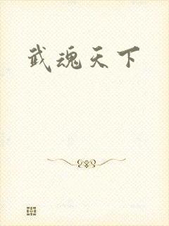 武魂天下