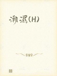 潮湿(H)