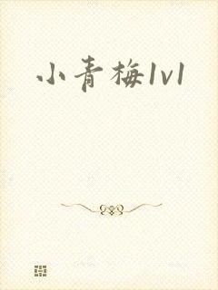 小青梅1v1