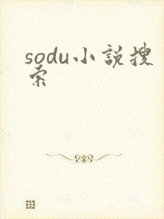sodu小说搜索
