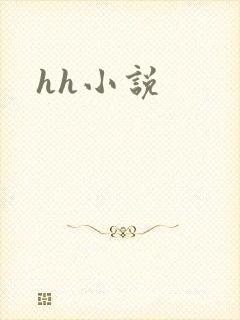 hh小说