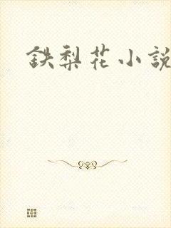铁梨花小说