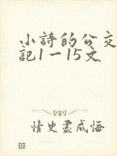 小诗的公交车日记1一15文
