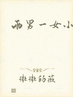 两男一女小说封面